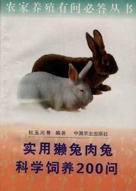 如何科学饲养獭兔作为宠物?