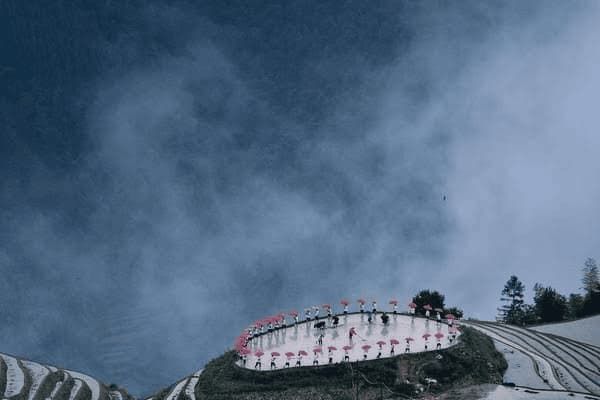 儿童最好养什么宠物呢狗狗，儿童最好养什么宠物呢狗狗图片