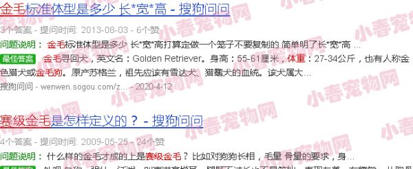 赛级金毛体重