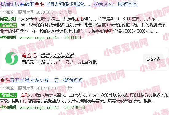 赛金毛