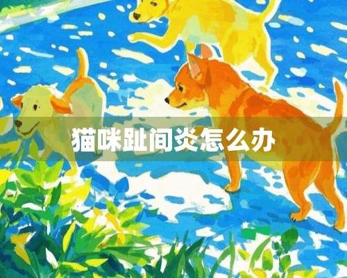 猫咪趾间炎怎么办