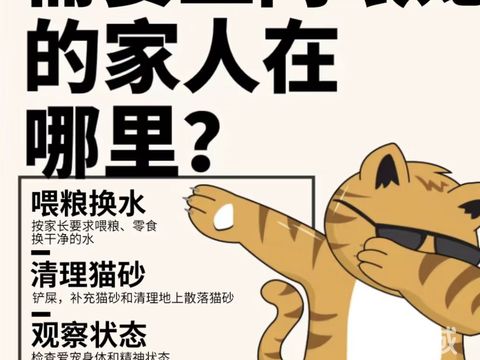 塔城宠物店/服务·宠物喂养，代溜宠物