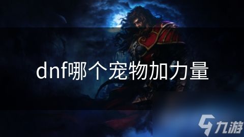 dnf哪个宠物加力量