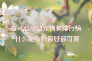 最可爱小型宠物狗排行榜-什么宠物狗最好最可爱
