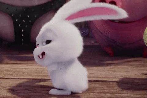 宠物界猫狗当道，为什么没有人把兔子当宠物