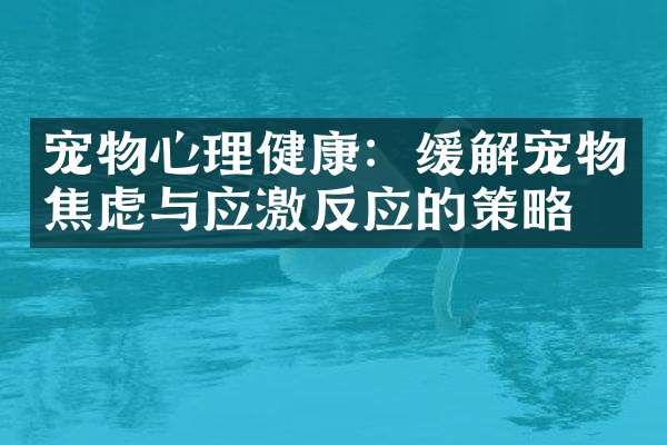宠物心理健康：缓解宠物焦虑与应激反应的策略
