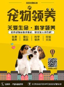 惠州宠物领养攻略？如何挑选适合自己的宠物