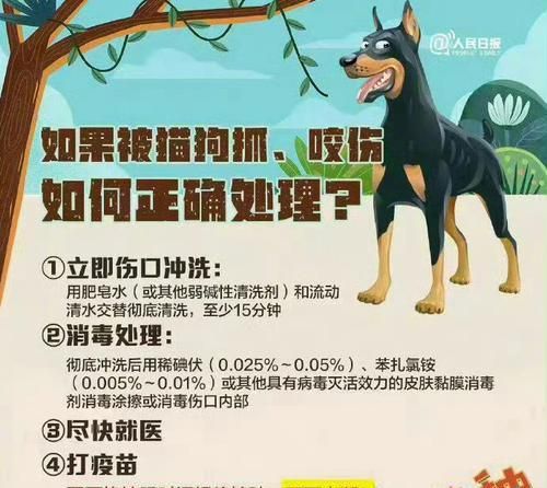 狂犬疫苗（不同牌子的狂犬疫苗对您的宠物来说有何不同？）