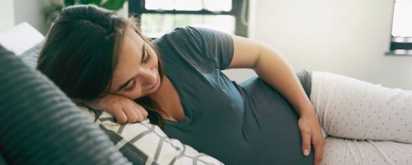 孕妇梦见很多不同的动物梦境解析 孕妇梦见4种动物预示着什么 孕妇梦见很多不同的动物预示着什么