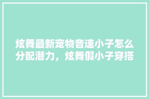炫舞最新宠物音速小子怎么分配潜力，炫舞假小子穿搭技巧男生。 男饰时尚