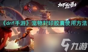 DNF宠物封印胶囊：一键封印，轻松交易，宠物养成新玩法！