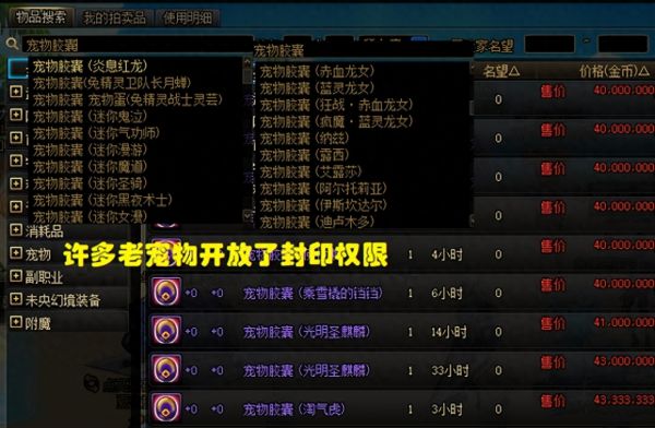 dnf赤血龙女怎么获取（赤血龙女宠物外观展示）