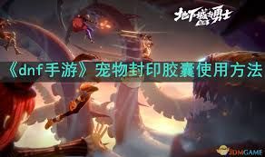 dnf宠物封印胶囊使用方法 助你轻松封印宠物开启新玩法