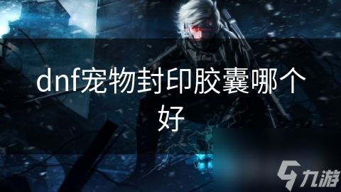 dnf宠物封印胶囊哪个好