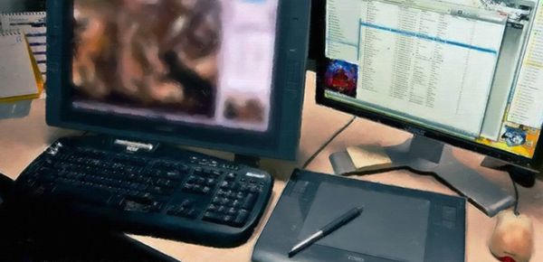 如何利用窗帘给宠物拍照？利用窗帘给宠物拍照的方法