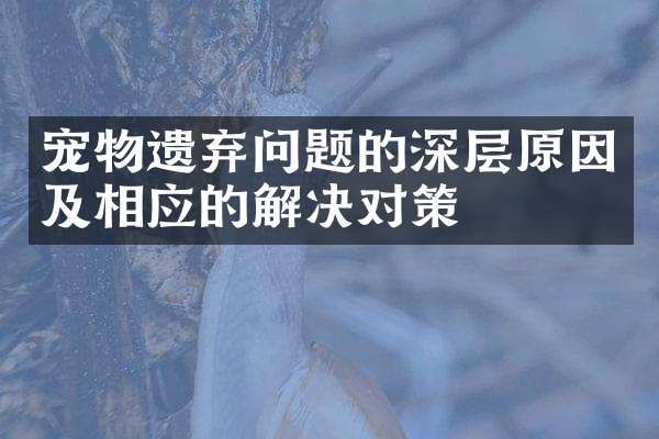 宠物遗弃问题的深层原因及相应的解决对策