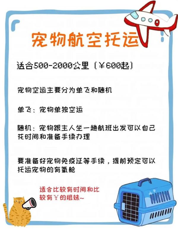 合肥如何办理宠物托运