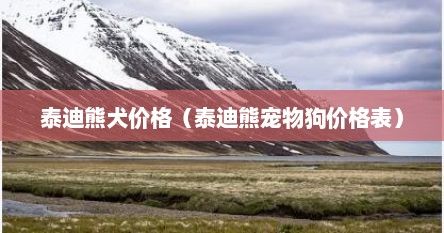 泰迪熊犬价格（泰迪熊宠物狗价格表）