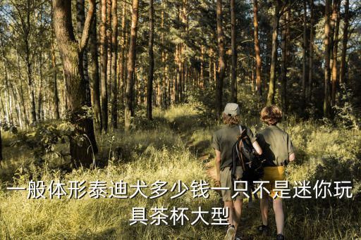 一般体形泰迪犬多少钱一只不是迷你玩具茶杯大型