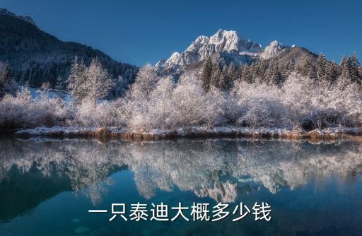 一只泰迪大概多少钱