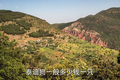 泰迪狗一般多少钱一只