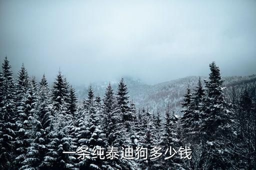 一条纯泰迪狗多少钱