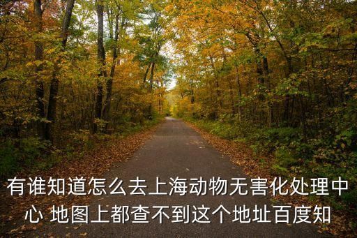 有谁知道怎么去上海动物无害化处理中心 地图上都查不到这个地址百度知