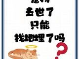 上海狗狗火化服务-上海宠物殡葬专业服务