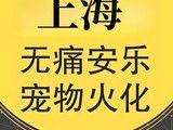 上海松江区宠物殡葬服务-上海宠物殡葬中心地址