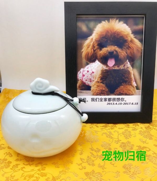 上海宠物火化 宠物归宿 宠物爱屋联系方式 信誉保证，定价合理