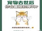 嘉定区宠物火化的地方-上海宠物殡葬中心地址