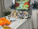 上海宠物火化-上海宠物火化价格