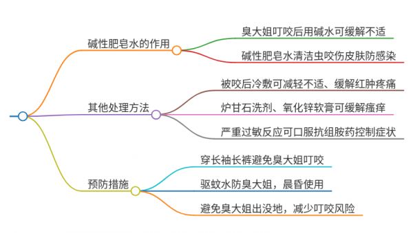 清明拜山被臭大姐咬了可以用碱性肥皂水吗