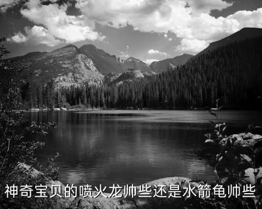 神奇宝贝的喷火龙帅些还是水箭龟帅些