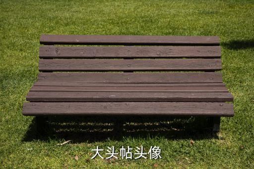 大头帖头像