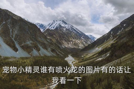 宠物小精灵谁有喷火龙的图片有的话让我看一下