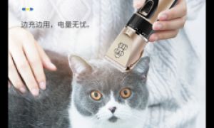 渠辰宠物剃毛器：宠物毛发护理的理想之选