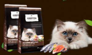 贵芬猫粮品质怎么样呢？价格如何呢？