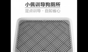养狗有必要单独准备狗厕所吗？2025性价比狗厕所品牌推荐