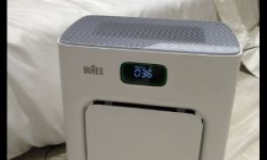 宠物空气净化器品牌推荐——Bures,养猫家庭的“救星”神器