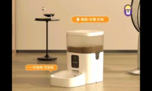 宠物智能设备将成为“情感化伙伴”