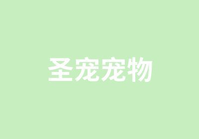 北京圣宠宠物美容培训