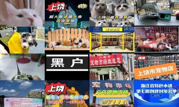 上饶宠物市场