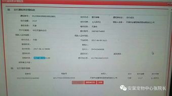 子宫蓄脓,宠物健康警示!症状速查!