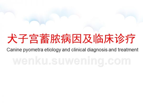 犬子宫蓄脓病因及临床诊疗_第1页