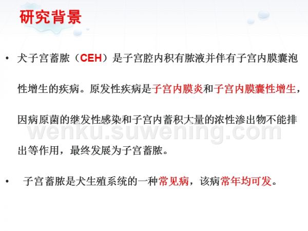 犬子宫蓄脓病因及临床诊疗_第4页