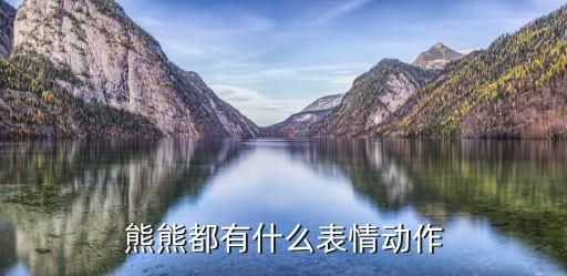 熊熊都有什么表情动作
