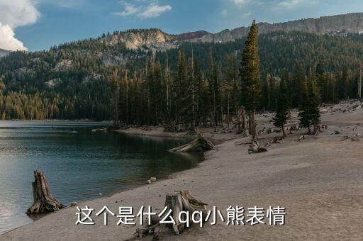 这个是什么qq小熊表情