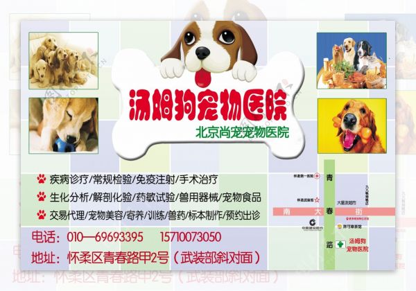 宠物医院DM海报图片