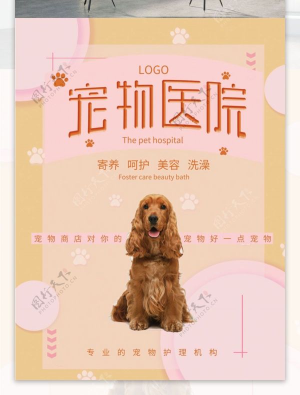 宠物医院商业宣传海报